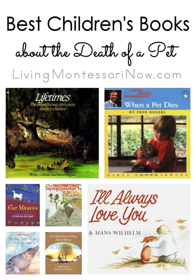 Best Children's Books about the Death of a Pet 关于宠物之死的最佳儿童读物